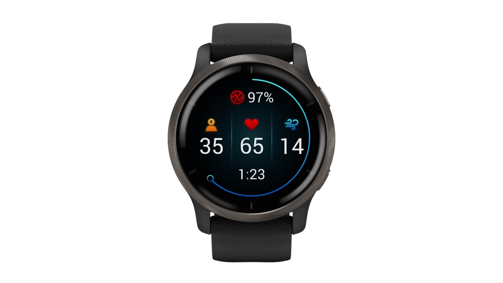 Garmin Venu® 2 Fitness Smartwatch - Black / Slate | Rogue